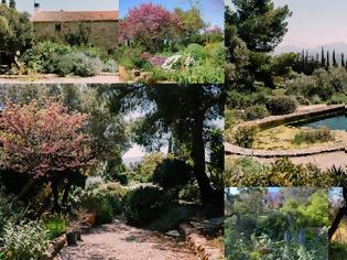 Φωτογραφία για Κτήμα Σπάροζα. Ένας μεσογειακός κήπος, πρότυπο οικολογικής κηπουρικής
