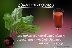 Όταν μου ζήτησαν να πω δυό λόγια ακόμα για τα παντζάρια, θυμήθηκα τα φύλλα τους και το κάλιο και είπα…