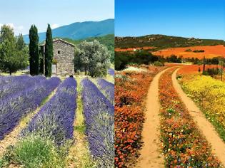 Φωτογραφία για Χώρες που έχουν συνδεθεί με τα λουλούδια τους