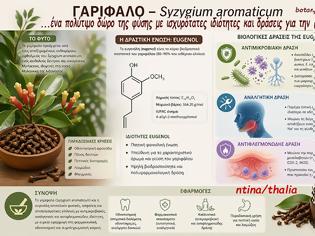 Φωτογραφία για Πολύτιμα και ισχυρότατα μπαχαρικά που ενεργοποιούν το μεταβολισμό μας
