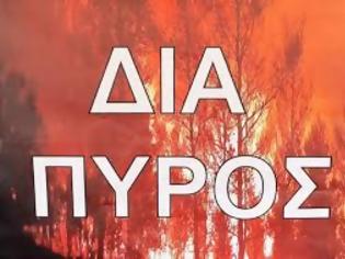 Φωτογραφία για Άσκηση Μεγάλης Κλίμακας Επιχειρησιακής Ετοιμότητας, με την κωδική ονομασία «ΔΙΑ ΠΥΡΟΣ 2026