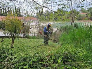 Φωτογραφία για Γιάννης Τριανταφυλλάκης  : Συνεχείς δράσεις αποψιλώσεων για πυροπροστασία , δεντροφυτεύσεων και εξωραϊσμού κοινόχρηστων χώρων
