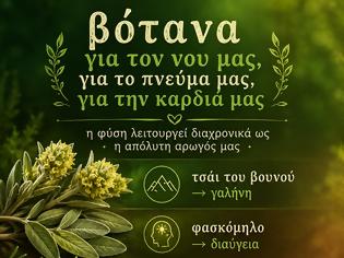 Φωτογραφία για ...η φυσική και αμόλυντη σοφία των βοτάνων στην καθημερινή μας ζωή και η φύση γίνεται σύμμαχος του νου και της ψυχής μας!