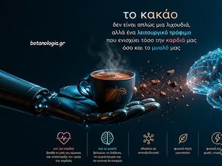 Φωτογραφία για Κακάο – το κακάο δεν είναι απλώς μια λιχουδιά, αλλά ένα λειτουργικό τρόφιμο που ενισχύει τόσο την καρδιά μας όσο και το μυαλό μας