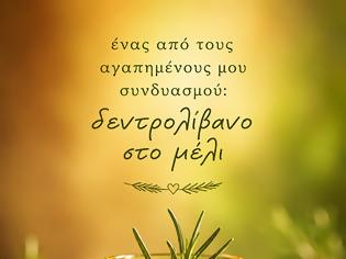 Φωτογραφία για μέλι βοτάνων, ένα πανίσχυρο ίαμα!