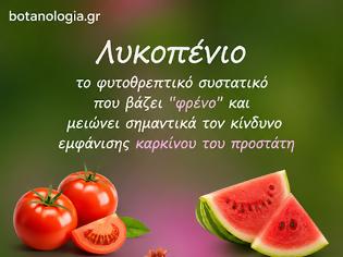 Φωτογραφία για Το κόκκινο νήμα της φύσης – Ένα ταξίδι στο λυκοπένιο και στους καρπούς που γεννά το ελληνικό καλοκαίρι
