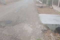Πάνος Πετρονικολος : Αποχρώσεων συνέχεια....