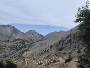 Φωτογραφία για Πάνος  Παληογιάννης  : Ένα μεγάλο «ευχαριστώ» από καρδιάς στον καλό φίλο ΓΙΑΝΝΗ ΛΙΑΚΟ