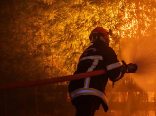 Φωτογραφία για Πυρκαγιές: Τι έχει αλλάξει τις τελευταίες δεκαετίες