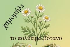 Θεραπευτικά βότανα που μπορούμε να καλλιεργήσουμε στο μπαλκόνι μας.