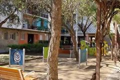 Πράσινες αυλές και σχολικοί χώροι: τι μπορεί να αλλάξει στο περιβάλλον των παιδιών
