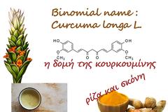 Τα βότανα των ανθρώπων – Οι χάρες των θεραπευτικών βοτάνων