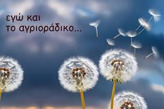 Εγώ και το αγριοράδικο -  το αγριοράδικο δεν ζητά ένα μόνο χρώμα• ζητά να μοιάσει με ό,τι θαυμάζει στον κόσμο