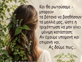 Φωτογραφία για Τριχόπτωση και η πολύτιμη βοήθεια των βοτάνων