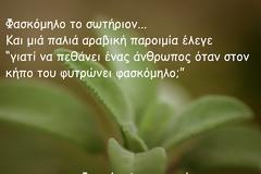 φασκόμηλο το αγαπημένο - κλινικά αποτελέσματα δείχνουν βελτίωση στους δείκτες της γνωστικής λειτουργίας.