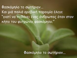 Φωτογραφία για φασκόμηλο το αγαπημένο - κλινικά αποτελέσματα δείχνουν βελτίωση στους δείκτες της γνωστικής λειτουργίας.