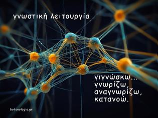 Φωτογραφία για Μαθαίνω - τι ακριβώς εννοούμε όταν λέμε  γνωστική λειτουργία