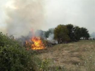 Φωτογραφία για Κάηκαν 500 στρέμματα στην Παναγίτσα Φαρκαδόνας