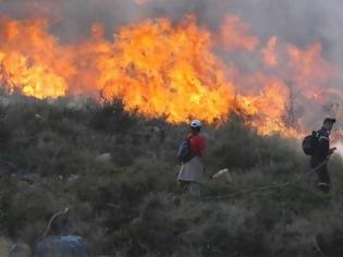 Φωτογραφία για Υπό μερικό έλεγχο η πυρκαγιά στη Χίο