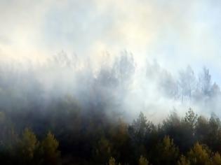 Φωτογραφία για Πυρκαγιά στον Βαρνάβα