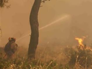 Φωτογραφία για Σε ύφεση η φωτιά στον Βαρνάβα Αττικής