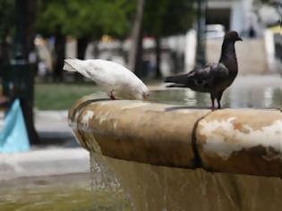 Φωτογραφία για OI ΚΛΙΜΑΤΙΖΟΜΕΝΟΙ ΧΩΡΟΙ ΓΙΑ ΠΡΟΣΤΑΣΙΑ ΑΠΟ ΤΟΝ ΚΑΥΣΩΝΑ