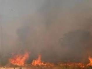 Φωτογραφία για ΠΡΙΝ ΛΙΓΟ: Υπό μερικό έλεγχο η φωτιά στη Κορινθία - Συνεχίζεται η πυρκαγιά στη Πύλο