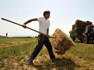 Φωτογραφία για 2 εκατ. ευρώ σε αγρότες για αποζημιώσεις θα καταβάλλει ο ΕΛΓΑ