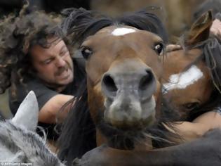 Φωτογραφία για ΔΕΙΤΕ: Άλογα εναντίον ανθρώπων