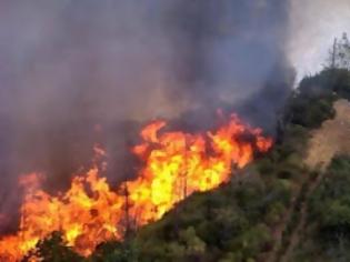 Φωτογραφία για Πύρινα μέτωπα στον Άγιο Στέφανο Δομοκού και στο Αμόνι Κορινθίας