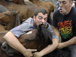 Φωτογραφία για Άλογα vs Ανθρώπων: Ένας παράξενος αγώνας πάλης!