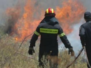 Φωτογραφία για Άμεση η επέμβαση των πυροσβεστικών δυνάμεων στην Αιτωλοακαρνανία