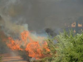 Φωτογραφία για ΠΥΡΚΑΓΙΑ ΣΕ ΔΑΣΙΚΗ ΕΚΤΑΣΗ ΣΤΟ ΟΡΟΣ ΜΠΕΛΕΣ