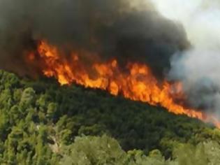 Φωτογραφία για Στις φυλακές ο 39χρονος εμπρηστής