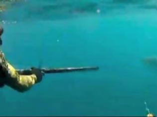 Φωτογραφία για Καρχαρίας περικυκλώνει ψαράδες [Video]