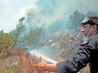 Φωτογραφία για Ανοχύρωτα τα τα δάση στις πυρκαγιές