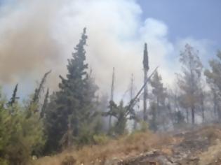 Φωτογραφία για Καίγεται το Σέιχ Σου! [video]