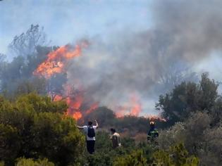 Φωτογραφία για ΥΠΟ ΕΛΕΓΧΟ ΠΥΡΚΑΓΙΑ ΣΤΟΥ ΠΑΠΑΓΟΥ