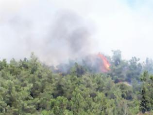 Φωτογραφία για «Διαρκής επαγρύπνηση για το Σέιχ-Σου…»