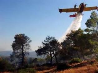 Φωτογραφία για Πυρκαγιά σε δασική περιοχή στο Πικέρμι