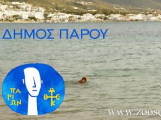 Φωτογραφία για Την πρόθεση του να αναλάβει τις ευθύνες του για τα αδέσποτα τονίζει ο Δήμος Πάρου