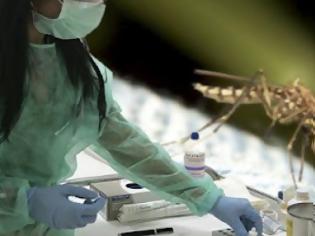 Φωτογραφία για Κουνούπια: Οι 10 επικίνδυνοι ιοί που μεταδίδουν στον άνθρωπο.