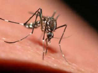 Φωτογραφία για Συνεχίζεται το πρόγραμμα καταπολέμησης κουνουπιών στην Π.Ε. Πέλλας
