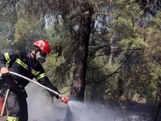 Φωτογραφία για Βοριάδες και ζέστη απειλούν να βάλουν φωτιά στα δάση