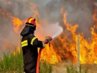 Φωτογραφία για Σε εξέλιξη πυρκαγιά στο Πικέρμι