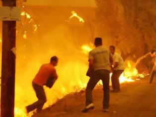 Φωτογραφία για Μέτρα προστασίας για τις πυρκαγιές στην Ηλεία: Τέθηκαν μεν αλλά...