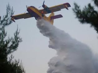 Φωτογραφία για Εκτός ελέγχου φωτιά στην Πάτρα – Πλησιάζει την Πανεπιστημιούπολη