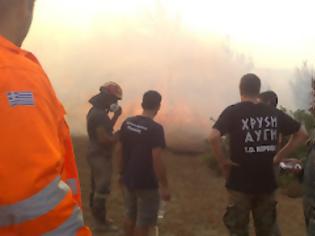 Φωτογραφία για Η Χρυσή Αυγή σβήνει φωτιές την ώρα που οι νεολέρες των κομμάτων κάνουν κάμπινγκ με τα λεφτά του λαού!VIDEO!