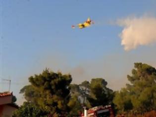 Φωτογραφία για Μεταβαίνει εκτάκτως στην Αχαΐα ο Γιώργος Παπανδρέου, λόγω των πυρκαγιών