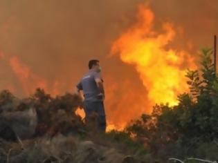 Φωτογραφία για Σε εξέλιξη η φωτιά στη Κορινθία